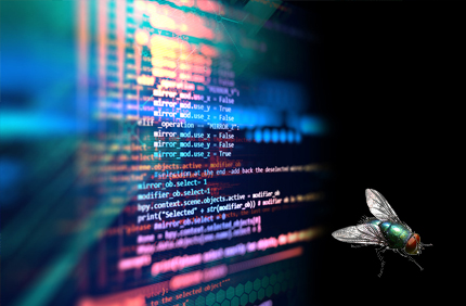 웹코딩&퍼블리싱